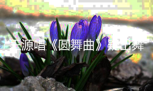 吐槽唱跑调王源舞台事故 受圆舞疑出惊被曲
